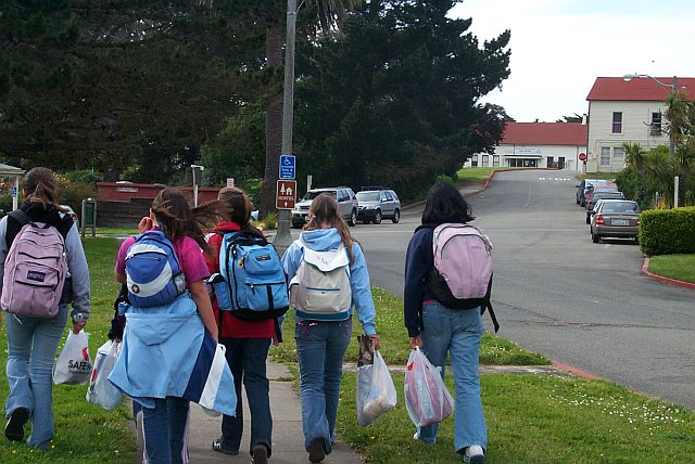 shopping at the grocery